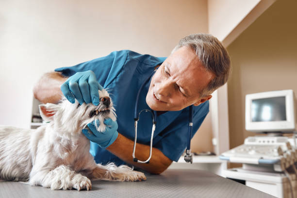 Best Emergency Root Canal Treatment in Marion, IN